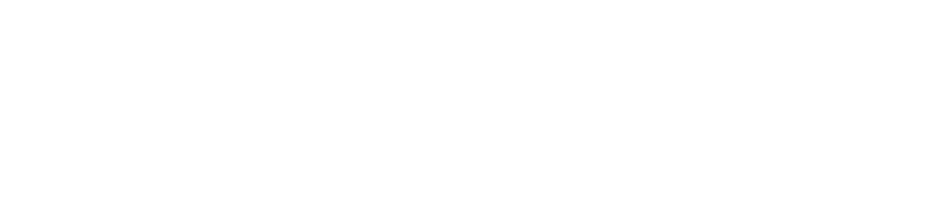 The Sea Gull Magazine logo